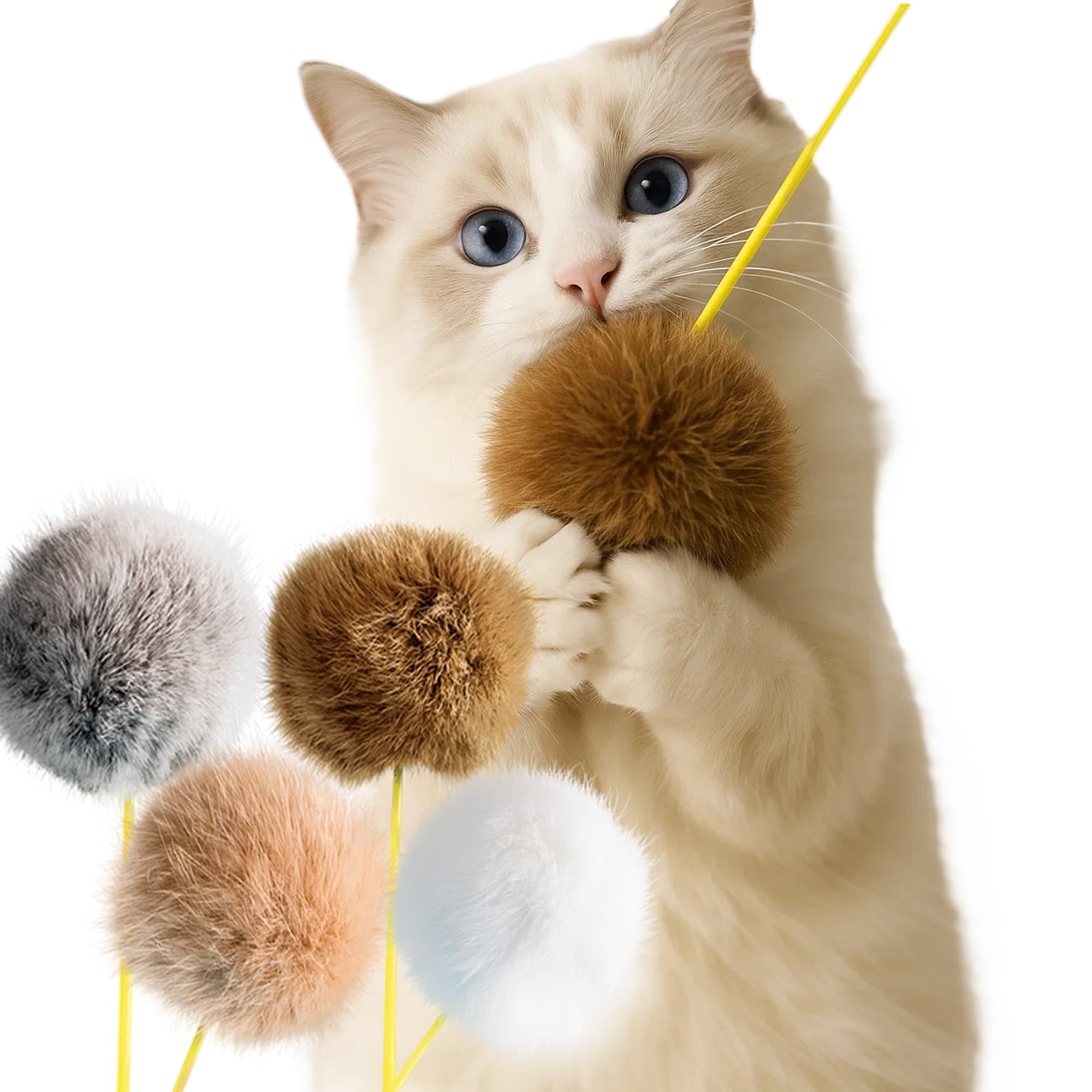 Amazon | HOLYCAT 猫 じゃらし 猫 おもちゃ 猫 遊び 4点セット 頑丈